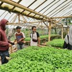 Pemberdayaan Masyarakat Dengan Bercocok Tanam