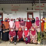 PkM Jamu Tradisional UMBY