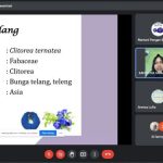 webinar bunga telang himatepa