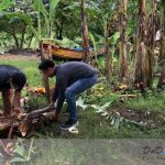 Kerjabakti KKN 35 UMBY Di Dusun Bendo