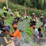 Tradisi Susuk Wangan Masyarakat Cepogo KKN 9 UMBY