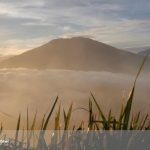 Gunung Andong Magelang Jawa Tengah