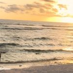Pantai Indrayanti