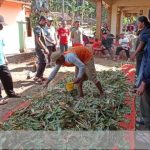 KKN 14 UMBY Saat Memberikan Pelatihan Fermentasi Pakan